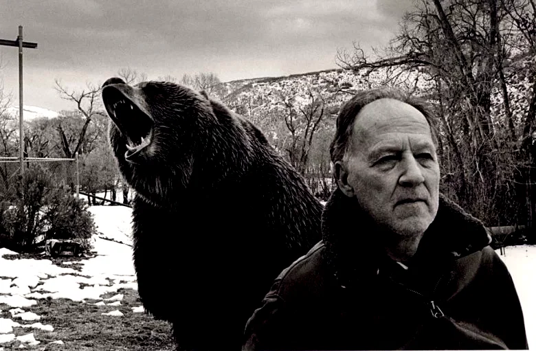 Photo 6 du film : Grizzly man