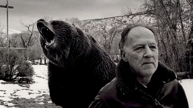 Photo 6 du film : Grizzly man