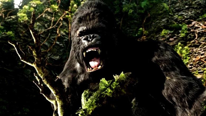 Photo 12 du film : King Kong