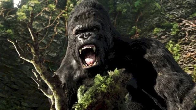 Photo du film : King Kong