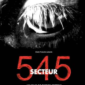 Photo du film : Secteur 545