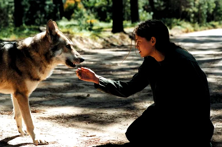 Photo 5 du film : Animal