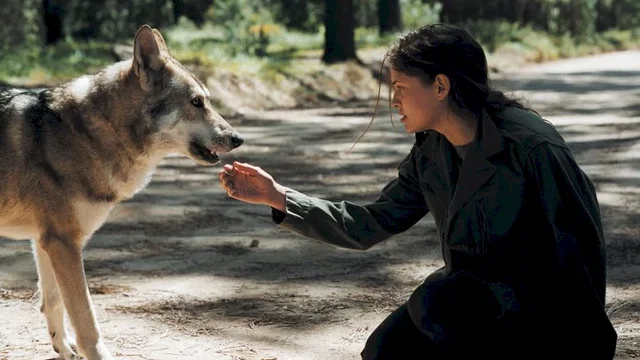 Photo du film : Animal