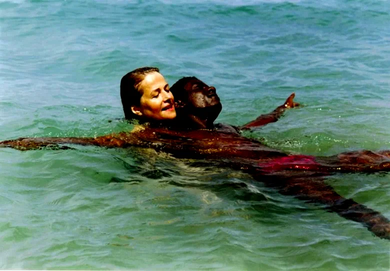Photo 3 du film : Vers le sud