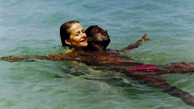 Photo 3 du film : Vers le sud