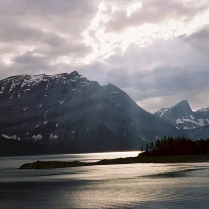 Miniature photo du film : Le secret de Brokeback Mountain