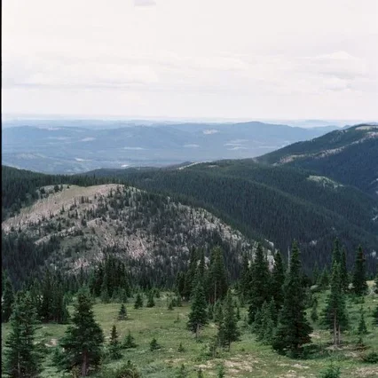 Miniature photo du film : Le secret de Brokeback Mountain