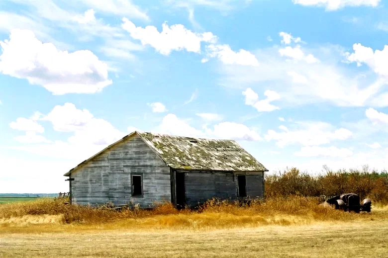 Photo du film : Le secret de Brokeback Mountain