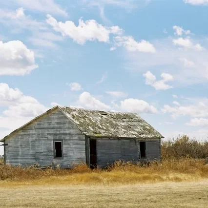 Miniature photo du film : Le secret de Brokeback Mountain