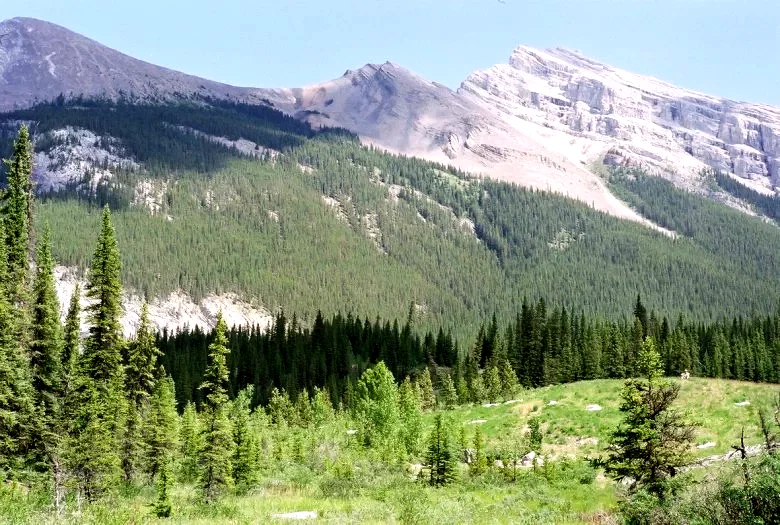 Photo du film : Le secret de Brokeback Mountain