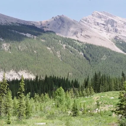 Miniature photo du film : Le secret de Brokeback Mountain