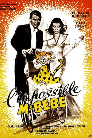 Photo 6 du film : L'impossible monsieur bebe