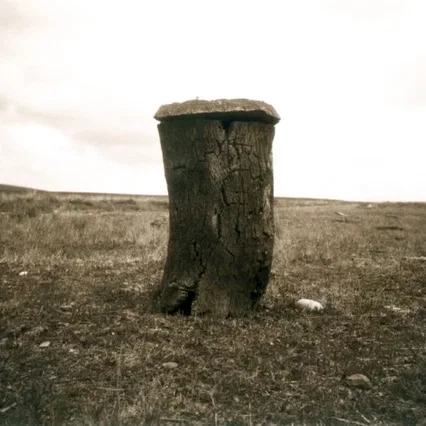 Miniature photo du film : Oliva oliva