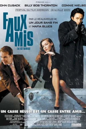 Affiche du film : Faux amis