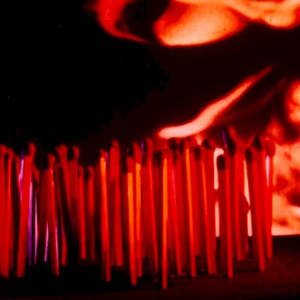 Miniature photo du film : Garri bardine tous courts