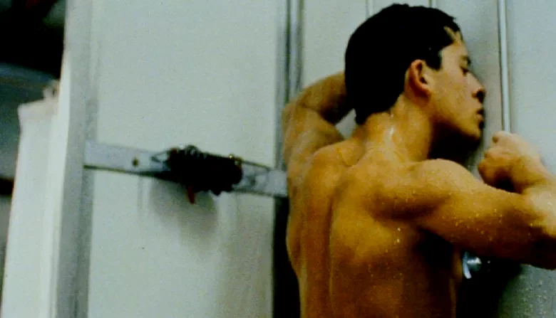 Photo 3 du film : O fantasma