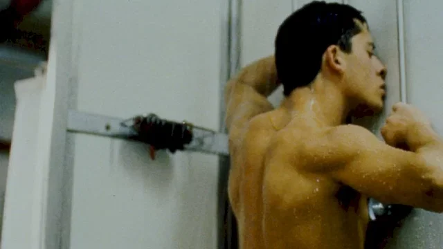 Photo du film : O fantasma