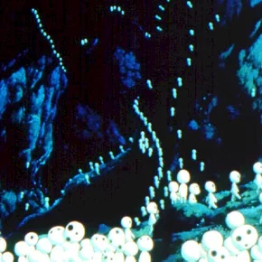 Photo du film : Princesse Mononoké