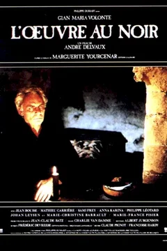 Affiche du film L'oeuvre au noir
