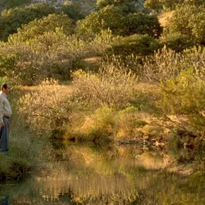 Photo du film : Sangre