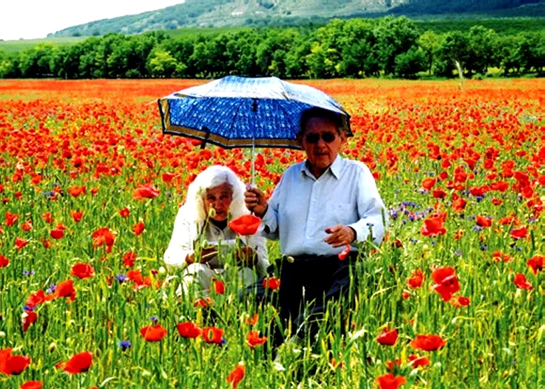 Photo 2 du film : Familles a vendre