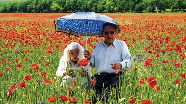 Photo du film : Familles a vendre