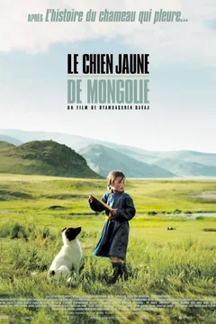 Affiche du film Le chien jaune de Mongolie