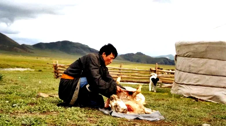 Photo 6 du film : Le chien jaune de Mongolie