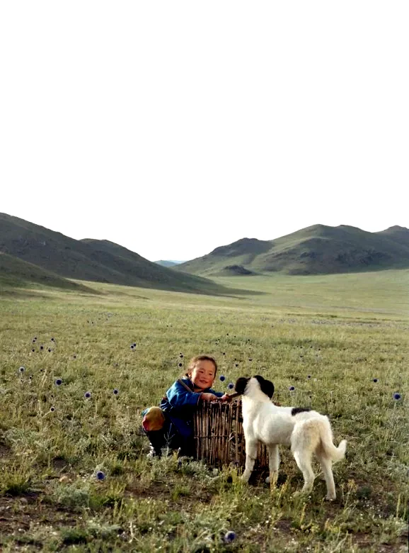 Photo 7 du film : Le chien jaune de Mongolie