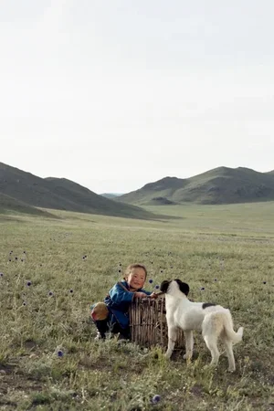 Photo 7 du film : Le chien jaune de Mongolie