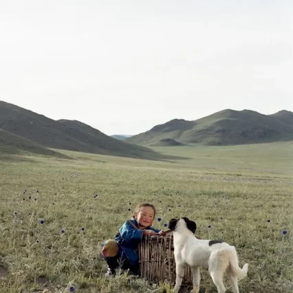 Miniature photo du film : Le chien jaune de Mongolie