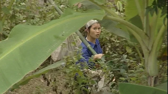 Photo 2 du film : Le silence des rizieres