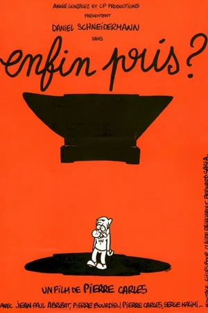 Affiche du film : Enfin pris ?