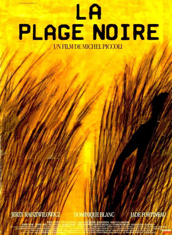 Affiche du film : La plage noire