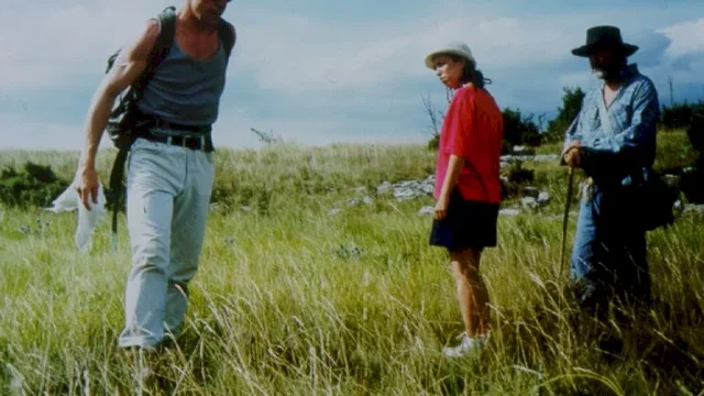 Photo 2 du film : Du soleil pour les gueux