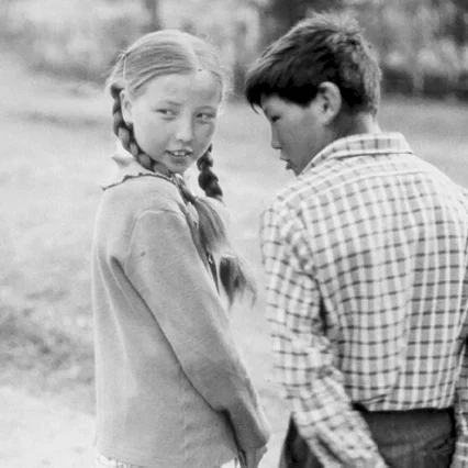 Miniature photo du film : Le fils adoptif