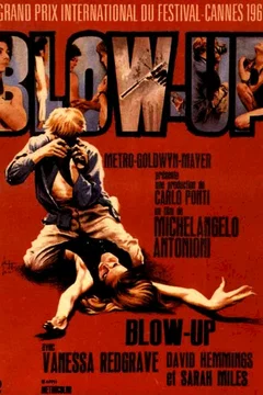 Affiche du film Blow up