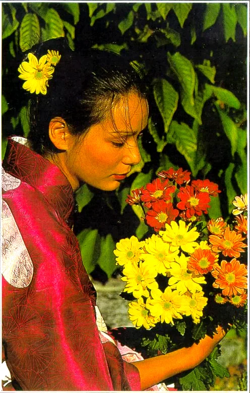 Affiche du film : Conférence Connaissance Du Monde : Le Japon Que J'Aime