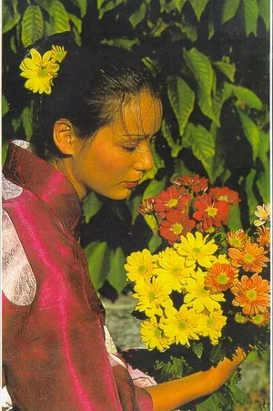 Affiche du film : Conférence Connaissance Du Monde : Le Japon Que J'Aime
