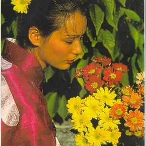 Photo du film : Conférence Connaissance Du Monde : Le Japon Que J'Aime