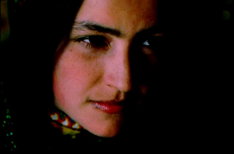 Photo 3 du film : Gadjo Dilo