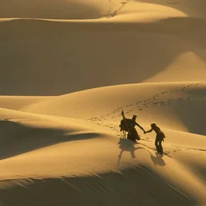 Photo du film : La piste
