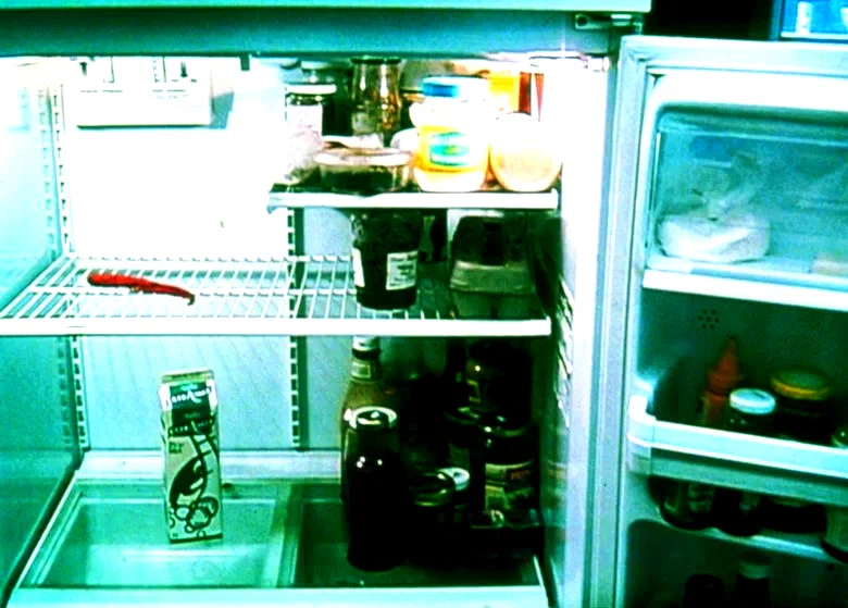 Photo du film : La moitié gauche du frigo