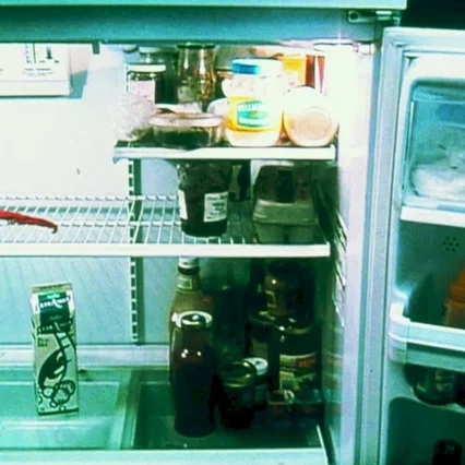 Miniature photo du film : La moitié gauche du frigo