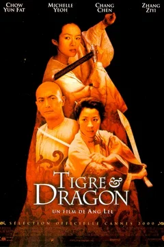 Affiche du film Tigre et dragon