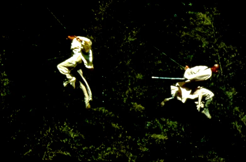 Photo 5 du film : Tigre et dragon