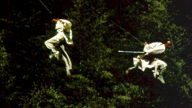 Photo 5 du film : Tigre et dragon