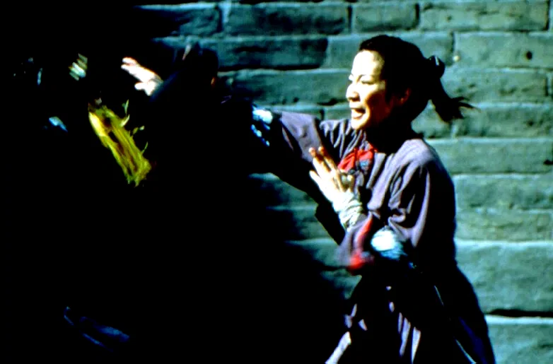 Photo 11 du film : Tigre et dragon