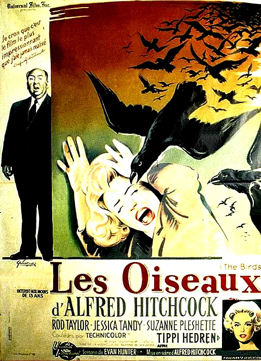 Affiche du film : Les oiseaux