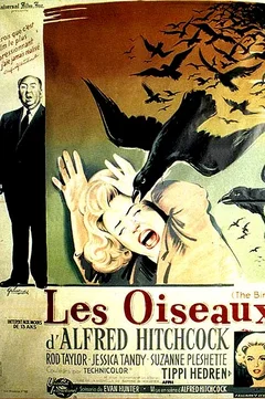 Affiche du film = Les oiseaux